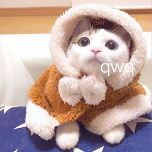 欧美三级片视频
